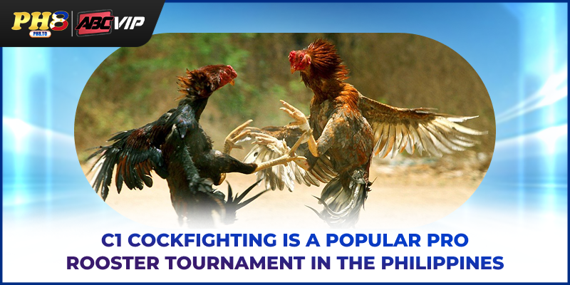 C1 cockfighting is a popular pro rooster tournament in the Philippines