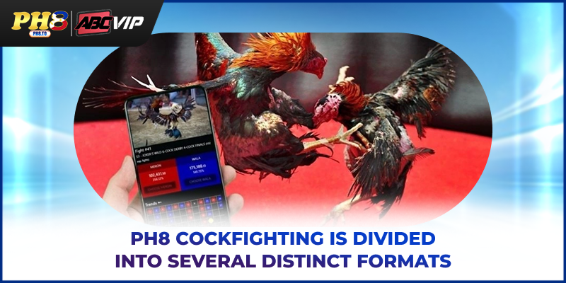 PH8 cockfighting is divided into several distinct formats