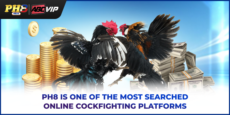 PH8 is one of the most searched online cockfighting platforms