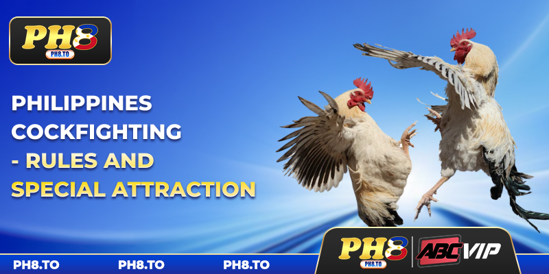 Philippines Cockfighting - Rules And Special Attraction 1 Philippines Cockfighting - Rules And Special Attraction