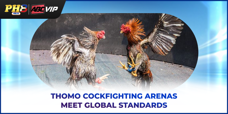 Thomo cockfighting arenas meet global standards